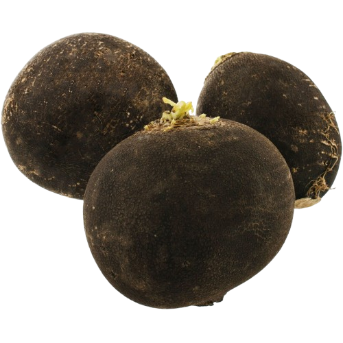 159-removebg-preview