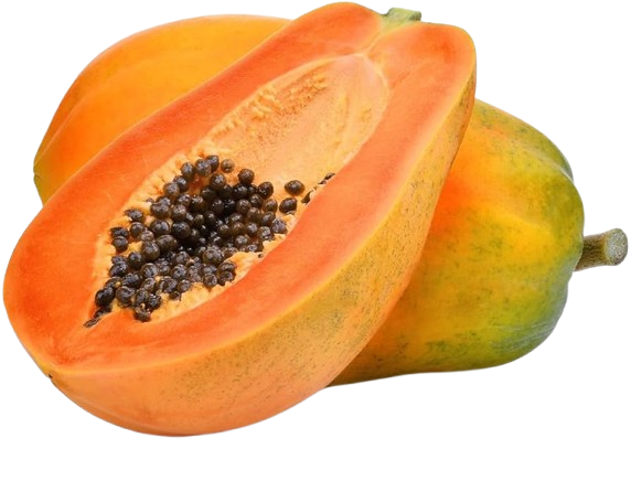 61CuiyI4aBL._AC_UF894_1000_QL80_-removebg-preview