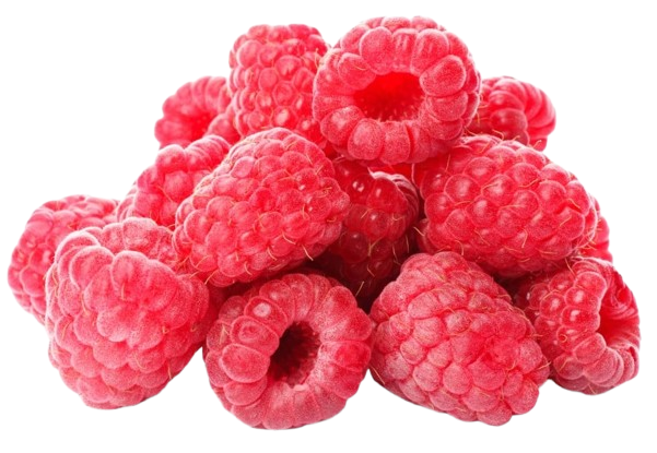 6485-1695188996359-removebg-preview