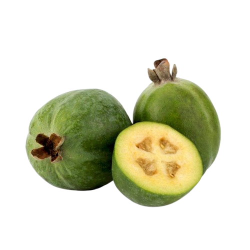 feijoa-large-removebg-preview