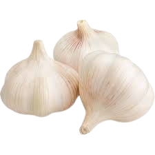 images-removebg-preview