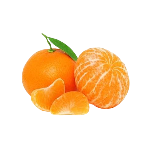 upload_d235f776cf864d49b1b10a3c742e5cd7_master-removebg-preview