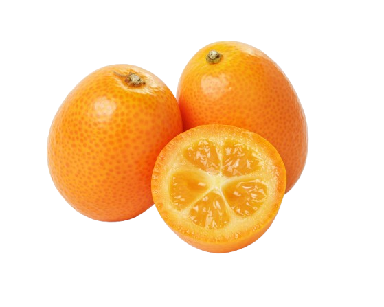 iStock-453251305-removebg-preview