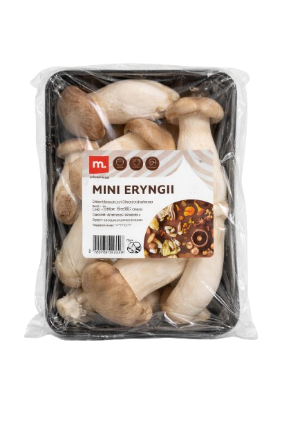 7ac9afd7-a171-450c-ba90-07efdad5b904-removebg-preview