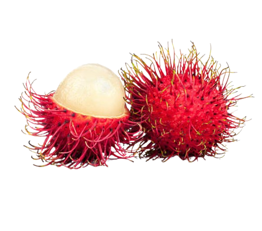 Screenshot_2026-02-27_100333-removebg-preview