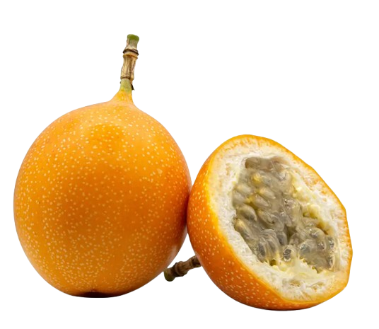 Screenshot_2026-02-27_104737-removebg-preview