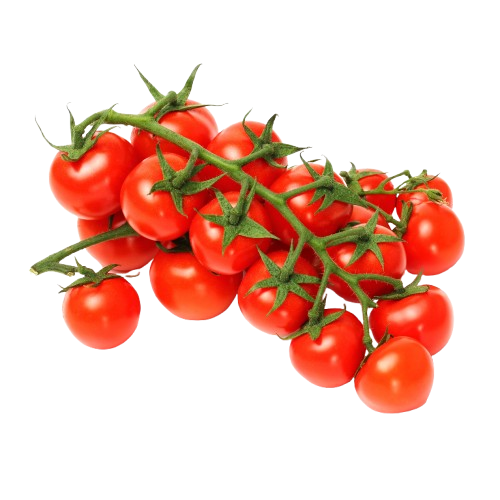 7d0e1597720eca7428ef3aea2f50-removebg-preview