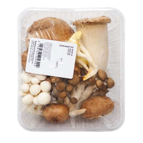 3834513c-da4a-4106-bacd-cdcdfac7da45-removebg-preview