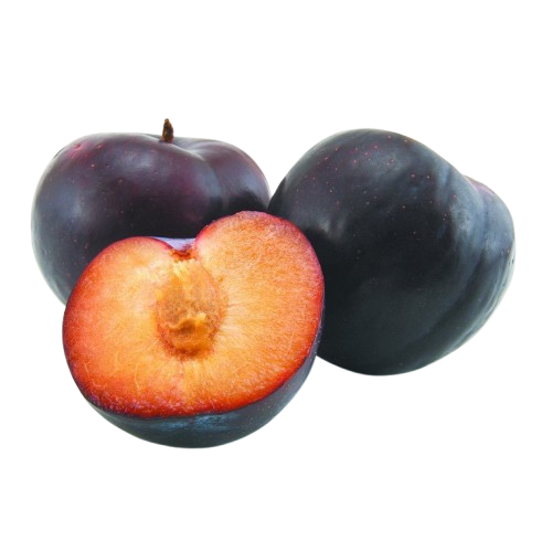angelino prune rotunde
