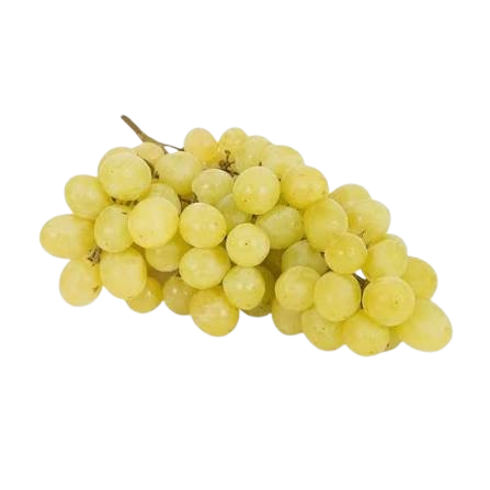 Struguri Muscat Alb