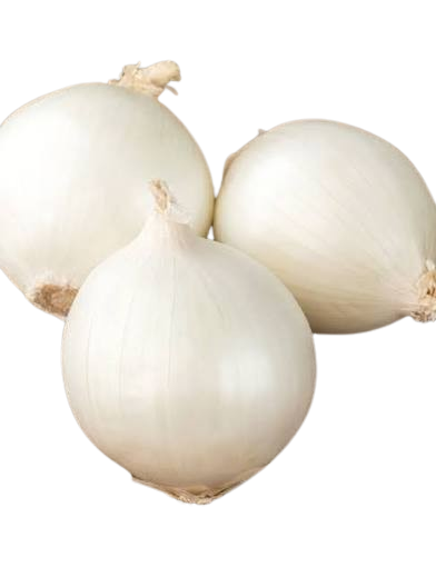 ceapa alba